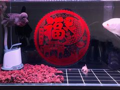 -蛙蛙叫干锅年代(簋街总店)
