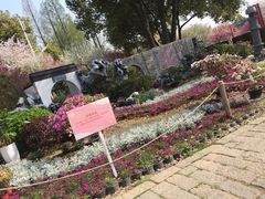 -苏州上方山国家森林公园