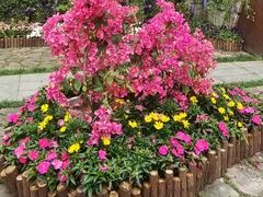 -春花秋色城市公园