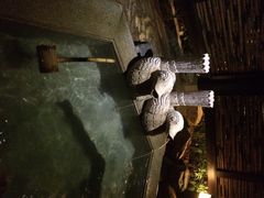 日月谷温泉渡假村-厦门日月谷温泉渡假村