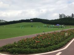 -迪茵湖田家舍生态农场