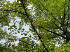 -北京植物园南门售票处