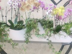 -苏州独墅湖书香世家酒店