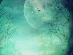 -欢乐季(南城店)