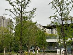 -和平公园