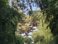 -红螺寺