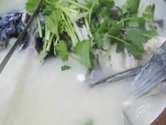-全乐鱼馆·淳牌有机鱼直营店