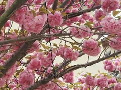 -芭东小镇温泉