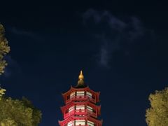 -绳金塔