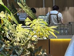 -1861意大利餐厅(文化广场店)