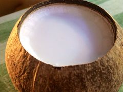 -椰爺爺·椰子冻砵仔糕