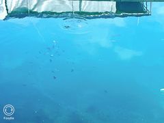 -麦哲伦丝绸度假村