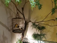 -小厨娘淮扬菜(六合欢乐港店)