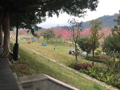 -风云岭森林公园