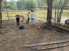 -莫尔道嘎国家森林公园