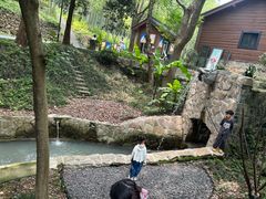 -东明山森林公园
