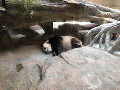 -宁波野生动物园