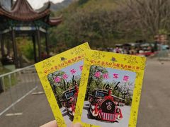 -大连天门山国家森林公园