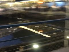 -芭厘农庄老字号·清远鸡