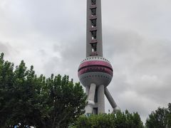 -上海海洋水族馆