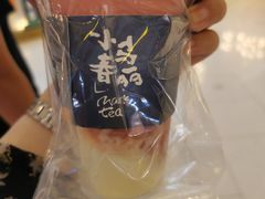 -春丽小马(济南恒隆广场店)