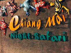-清迈夜间动物园