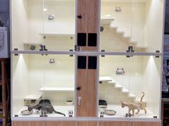 -十年猫舍·猫咪专门店(普陀店)