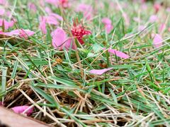 -五龙客家风情园