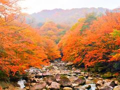 -光雾山旅游景区
