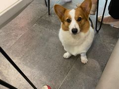 -兔爸私家小厨(新北万达店)