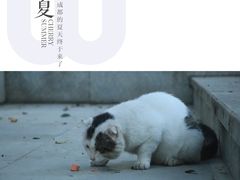 -四川大学(望江校区)