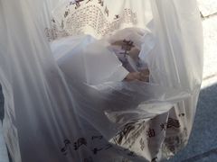 -王阿姨文昌油赞子(府桥街店)