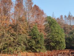 -上海吴淞炮台湾国家湿地公园