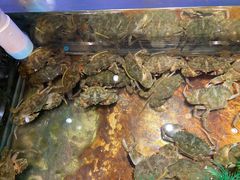 -V-ONE西雅图海鲜自助餐厅(仓山万达广场店)