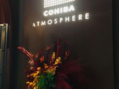 -Cohiba Atmosphere高希霸魅力俱乐部(国贸店)