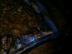 -芜湖新华联大白鲸海洋公园