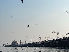 -青岛海滨风景区