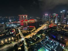 -新加坡瑞士史丹福酒店