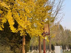 -赵州桥景区