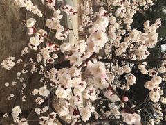 鹫峰国家森林公园-北京鹫峰国家森林公园