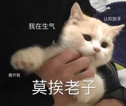 -容丽妍医疗美容