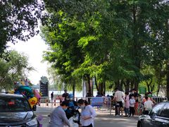 -丁香湖公园