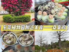 -东莞植物园