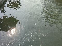 -DGE季风钓虾营地·团建·聚会