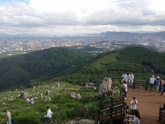 -长虫山生态公园风景林