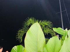 -仙本那渔人码头餐厅