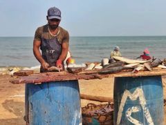 -尼甘布海鲜市场