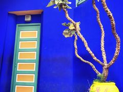 -马洛雷勒花园