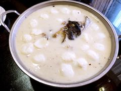 -刘胖子家常菜·蹄花焖藕(中南店)