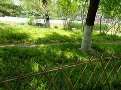 景点-丰台科技园生态主题公园